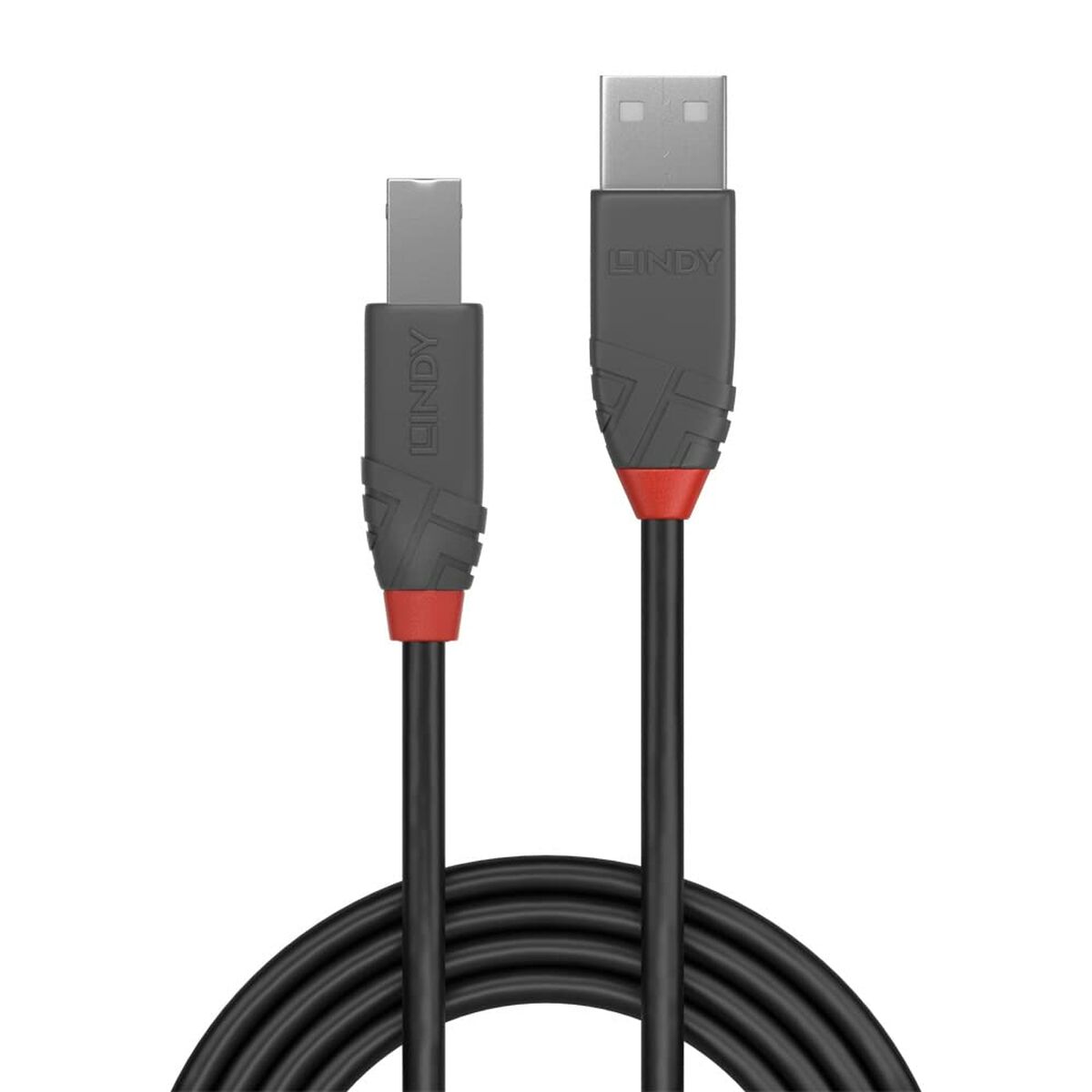 Cabo USB A para USB B LINDY Cinzento 10 m